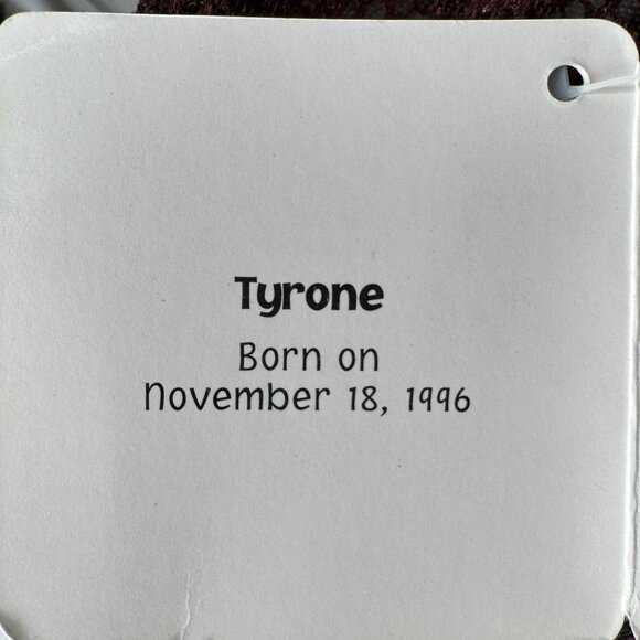 Russ ZONIES Earth Zone Beanie TYRONE Triceratops Dinosaur Vintage Toy Plush 15" - Picture 7 of 10